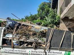 Best Residential Junk Removal  in Ecru, MS